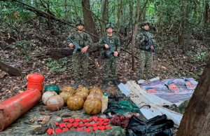Destruyen depósito ilegal de explosivos en Guaviare