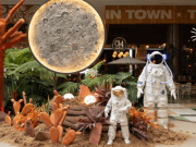 Viajar a un exoplaneta, y desde un lugar en El Poblado, ¿cómo?