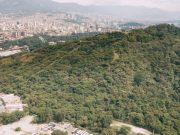 Semana Santa, oportunidad para respetar y proteger la fauna y flora de Medellín