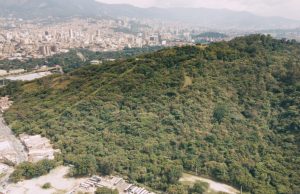 Semana Santa, oportunidad para respetar y proteger la fauna y flora de Medellín