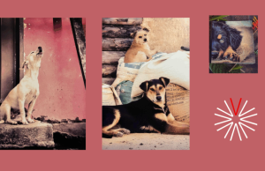 Gozques, un libro con rostros de amor