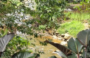 La Presidenta: 18 alertas antes de temporada de lluvias