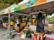 El Poblado ya tiene cuatro Mercados Campesinos