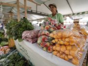 La Frontera tendrá cierre parcial todos los domingos por Mercados Campesinos