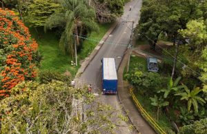 Hay nuevo paso seguro para fauna silvestre en Santa Elena