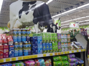 Precio de la leche subirá 1.3% para el periodo 2026-2027