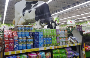 Precio de la leche subirá 1.3% para el periodo 2026-2027