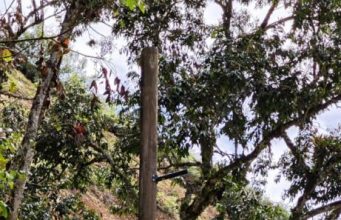 Ladrones desmotivan iniciativa privada, en Abejorral