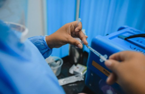 Semana Santa: alertan a viajeros por fiebre amarilla y sarampión en el país