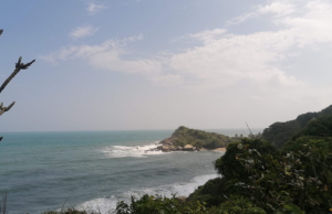Parque Tayrona reabre sus puertas este 5 de marzo