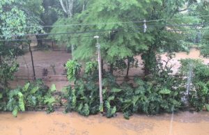 En dos horas cayó una tercera parte de la lluvia típica de marzo en El Poblado