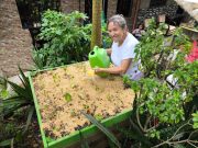 Habitantes de Medellín se formaron en educación ambiental