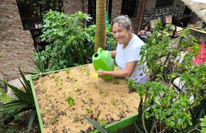 Habitantes de Medellín se formaron en educación ambiental