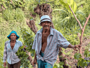 Acusado presunto responsable de estafar a 41 familias campesinas