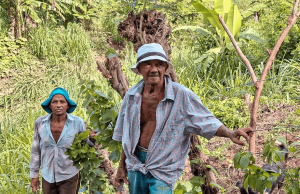 Acusado presunto responsable de estafar a 41 familias campesinas