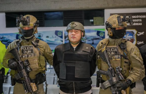 Golpes al crimen organizado este año