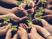 Hoja de ruta Iberoamericana sobre cambio climático y agua
