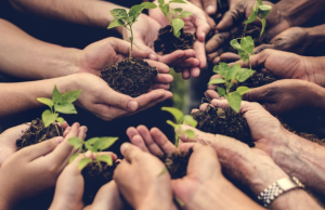 Hoja de ruta Iberoamericana sobre cambio climático y agua