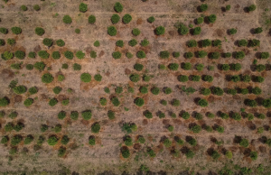 Alerta por posible desarrollo de fenómeno de El Niño en junio y agosto