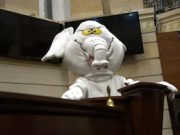 Los influencers que tendrán una curul en el Congreso