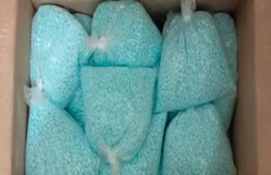 Incautan 14 millones de dosis de fentanilo en Colima, México