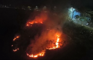 Quemas ilegales en Arauca provocan incendios forestales incontrolables