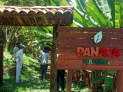 Aprueban Plan de Manejo Ambiental del proyecto Panaca en Quindío