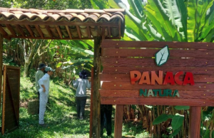 Aprueban Plan de Manejo Ambiental del proyecto Panaca en Quindío