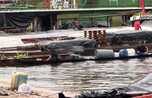En riesgo pueblos indígenas de Guainía por disputa de grupos armados