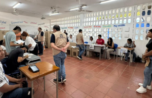 Plataforma de denuncias electorales ha recibido 775 reportes