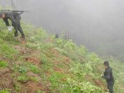 Los cinco departamentos en donde más subió la extensión de narcocultivos en 2025