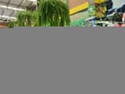 $4.200 millones para fortalecer a productores hortifrutícolas de la Región Metropolitana