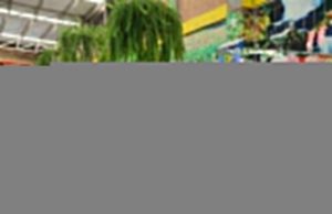 $4.200 millones para fortalecer a productores hortifrutícolas de la Región Metropolitana