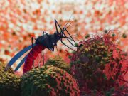 Malaria en Colombia: hasta 40 % de los casos se diagnostican tarde y aumenta la alerta por cambio climático