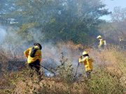 El fenómeno del Niño ganaría fuerza en 2026: El país se verá afectado por olas de calor y estrés hídrico desde septiembre