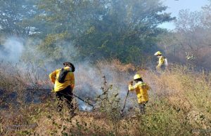 El fenómeno del Niño ganaría fuerza en 2026: El país se verá afectado por olas de calor y estrés hídrico desde septiembre