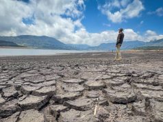 OMM prevé que el fenómeno de El Niño en los próximos meses será ‘fuerte’, con temperaturas superiores a lo normal el próximo trimestre