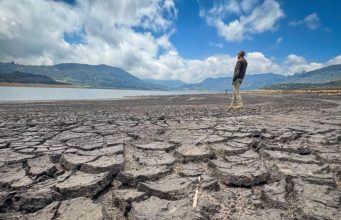 OMM prevé que el fenómeno de El Niño en los próximos meses será ‘fuerte’, con temperaturas superiores a lo normal el próximo trimestre