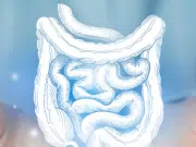 Descubren en Clínica Mayo que la vitamina D reduce la inflamación intestinal crónica