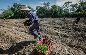 Crisis silenciosa bajo tierra: una de cada cinco especies del suelo está en riesgo de extinción, advierte estudio internacional