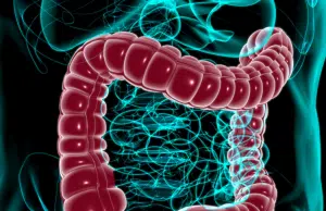 El síntoma que no debería ignorar al ir al baño y que puede revelar cáncer de colon, según gastroenterólogo