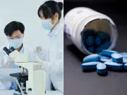 Científicos evalúan el viagra como alternativa terapéutica en enfermedad rara: reportan efectos en síntomas neurológicos y musculares