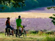Entre campos de lavanda y pueblos medievales: viaje por la Provenza en bicicleta