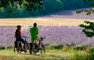 Entre campos de lavanda y pueblos medievales: viaje por la Provenza en bicicleta