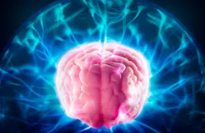 Hay un hábito que reconfigura su cerebro: no son crucigramas ni hacer sudokus