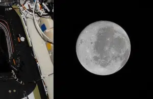 Misión Artemis II de la Nasa inicia sobrevuelo lunar: conozca las plataformas para ver en vivo el hito histórico de la nave Orión