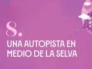 Una autopista en medio de la selva: la revelación periodística de Jineth Bedoya Lima sobre una carretera de las Farc
