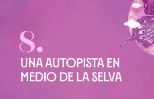 Una autopista en medio de la selva: la revelación periodística de Jineth Bedoya Lima sobre una carretera de las Farc