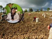 ‘No basta con dar tierra’: las claves del Conpes Agrario con el que el Gobierno espera invertir $18 billones en sostenibilidad, agua e infraestructura