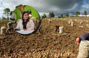 ‘No basta con dar tierra’: las claves del Conpes Agrario con el que el Gobierno espera invertir $18 billones en sostenibilidad, agua e infraestructura